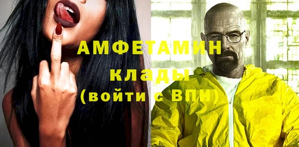 прущий лед Бородино