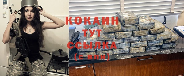 прущий лед Михайлов