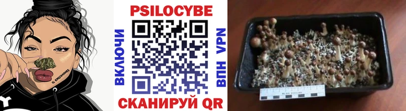 Галлюциногенные грибы MAGIC MUSHROOMS  Весьегонск 